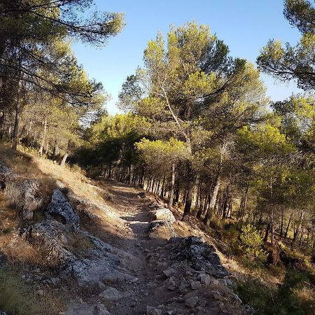Apartamentos Rurales La Dehesa Del Acebuche Хаен Екстер'єр фото