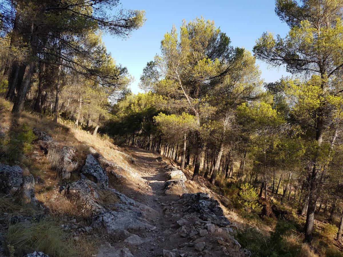 Apartamentos Rurales La Dehesa Del Acebuche Хаен Екстер'єр фото