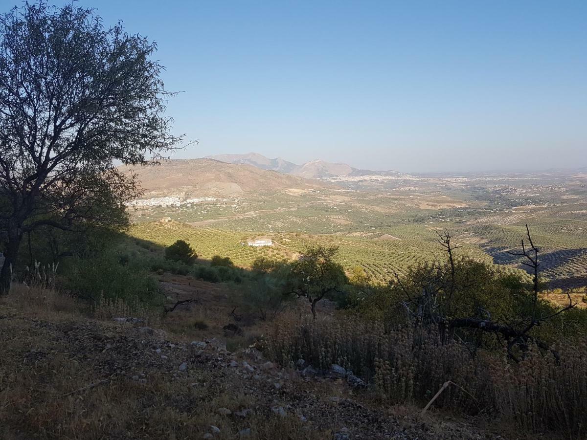 Apartamentos Rurales La Dehesa Del Acebuche Хаен Екстер'єр фото